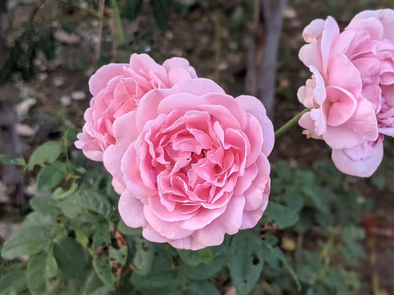 Thailand, February 2022