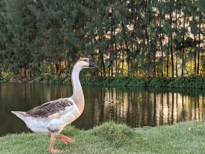 Thailand, February 2022