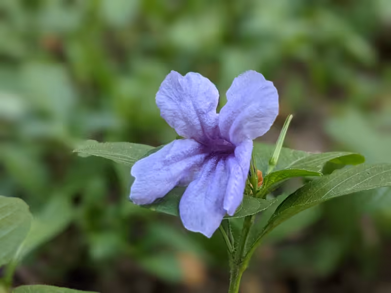 Thailand, March 2022