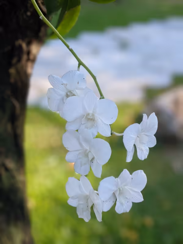 Thailand, March 2022