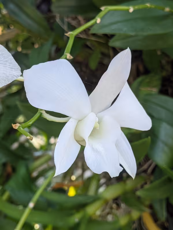 Thailand, March 2022