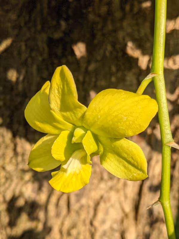 Thailand, March 2022