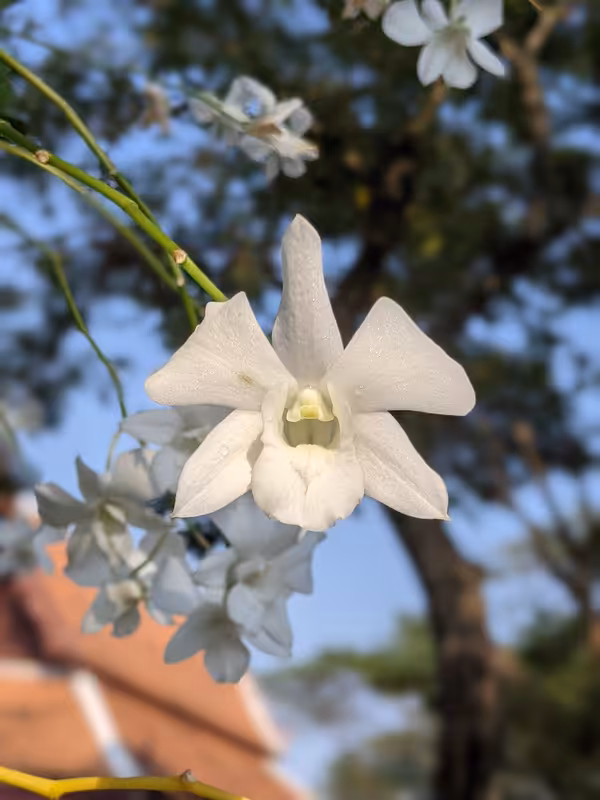 Thailand, March 2022