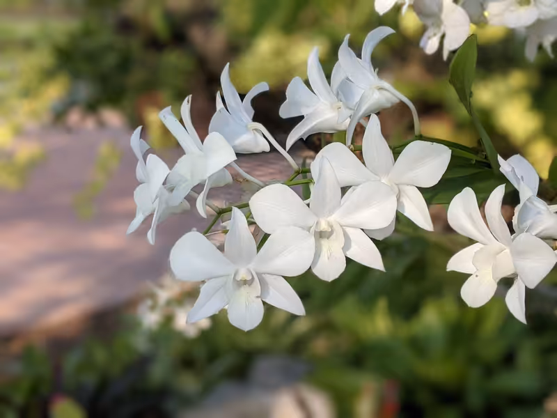 Thailand, March 2022