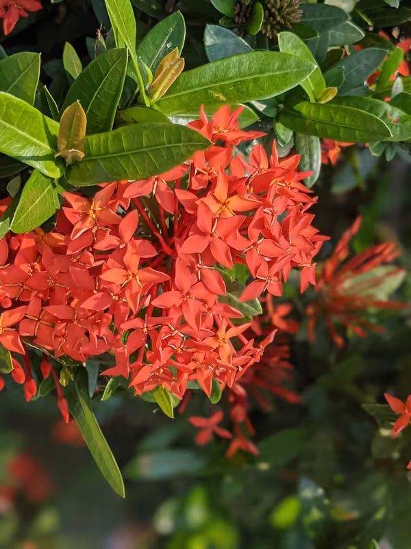 Thailand, March 2022