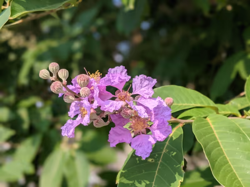 Thailand, March 2022