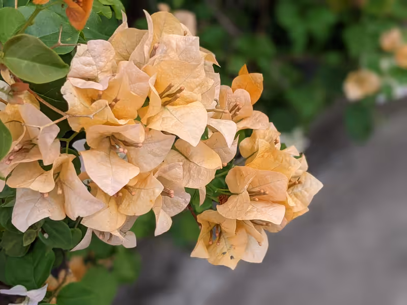 Thailand, March 2022