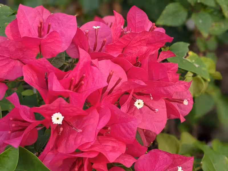 Thailand, March 2022