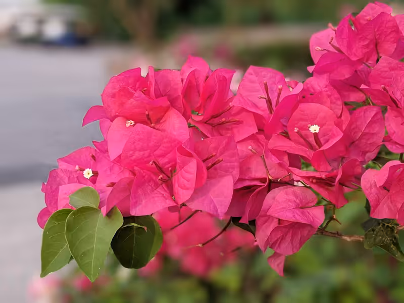 Thailand, March 2022