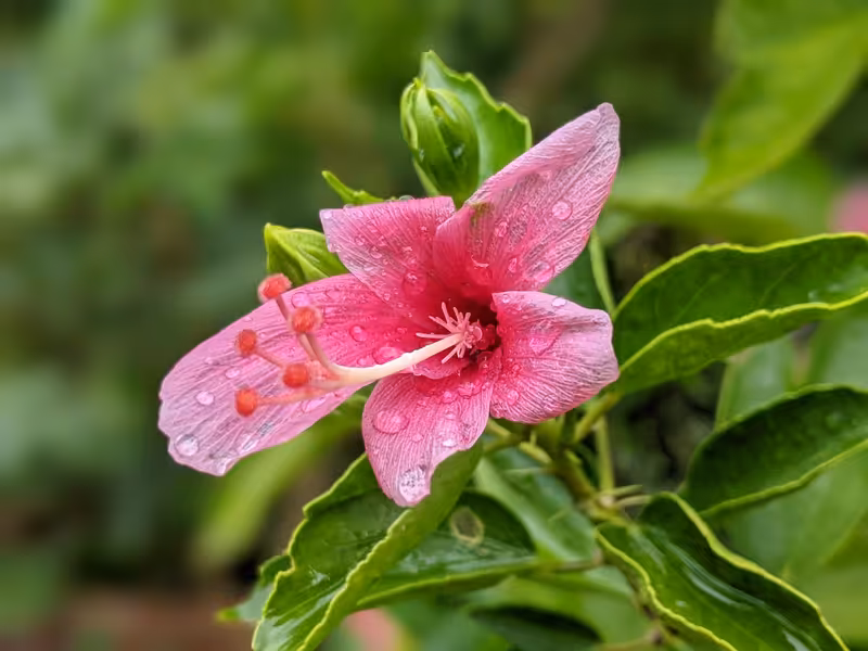 Singapore, March 2022