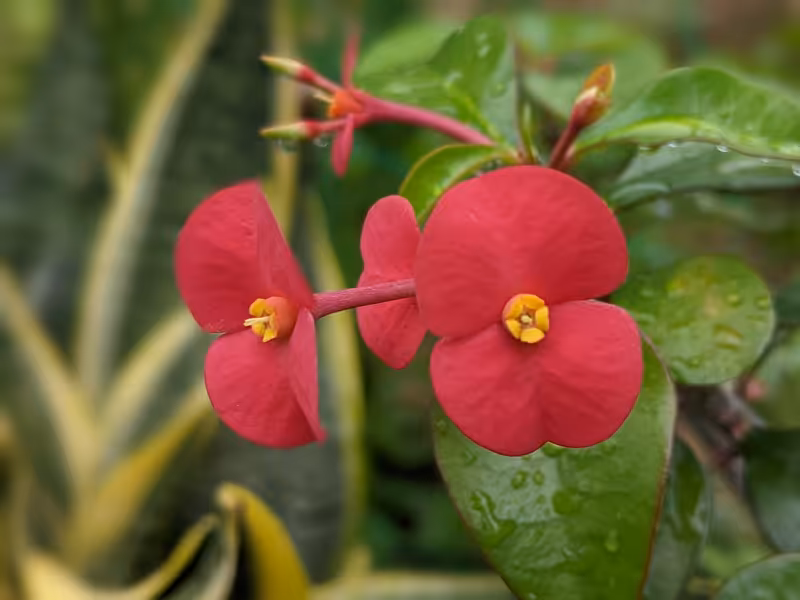 Singapore, March 2022