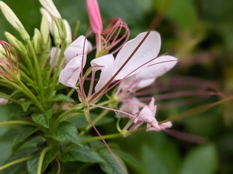 Singapore, March 2022