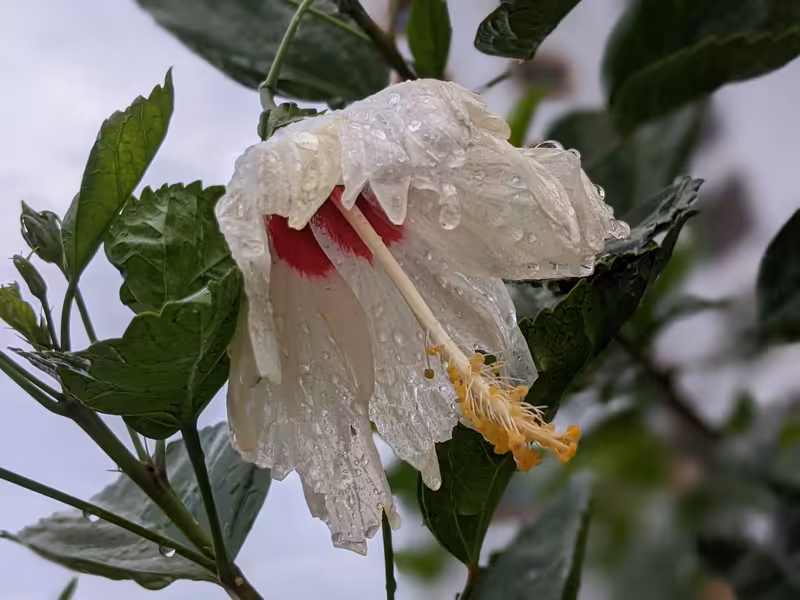 Singapore, March 2022