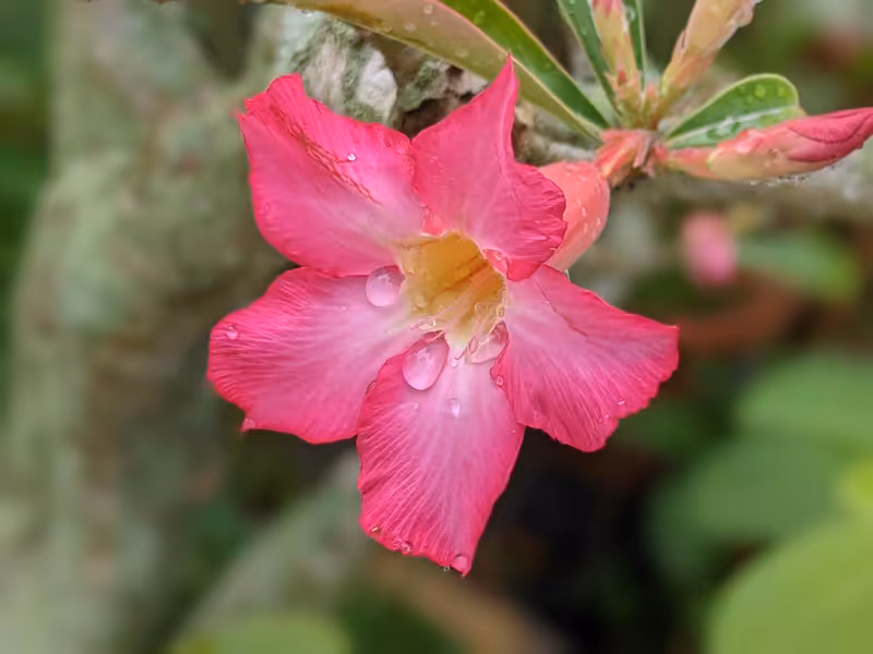 Singapore, March 2022