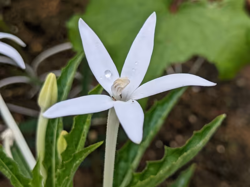 Singapore, March 2022