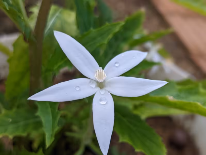 Singapore, March 2022