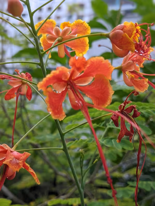 Singapore, March 2022