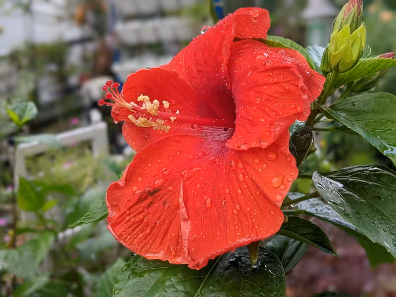 Singapore, March 2022