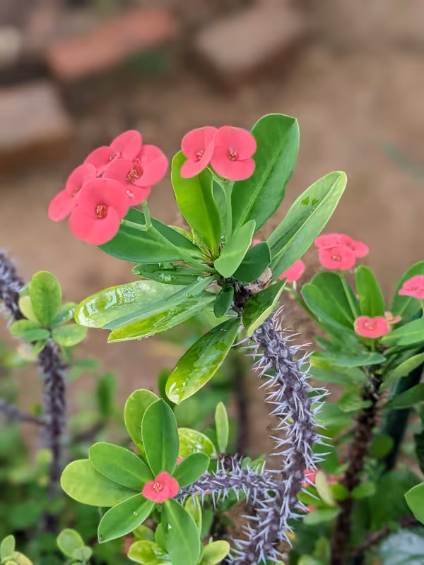 Singapore, March 2022