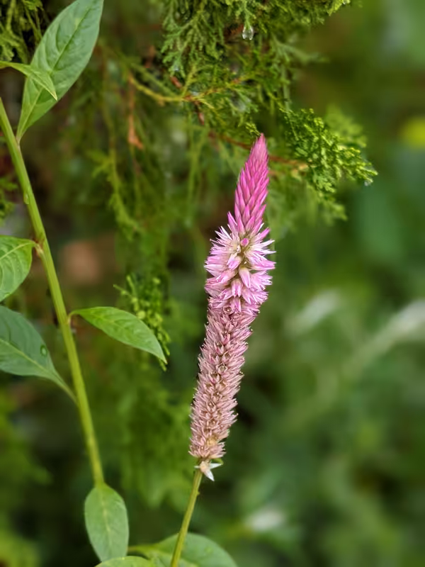 Singapore, March 2022