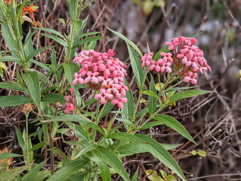 Singapore, April 2022