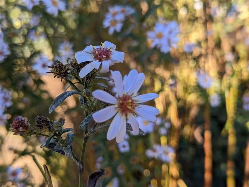 Bristol, October 2022