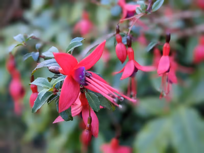 Bristol, October 2022