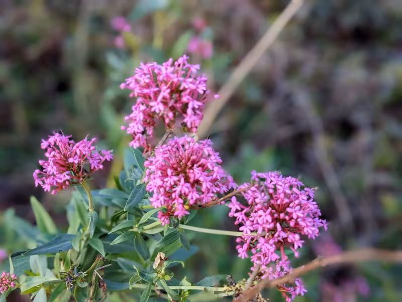 Bristol, October 2022