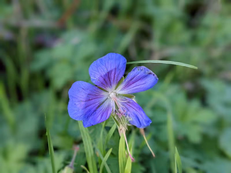 Bristol, October 2022