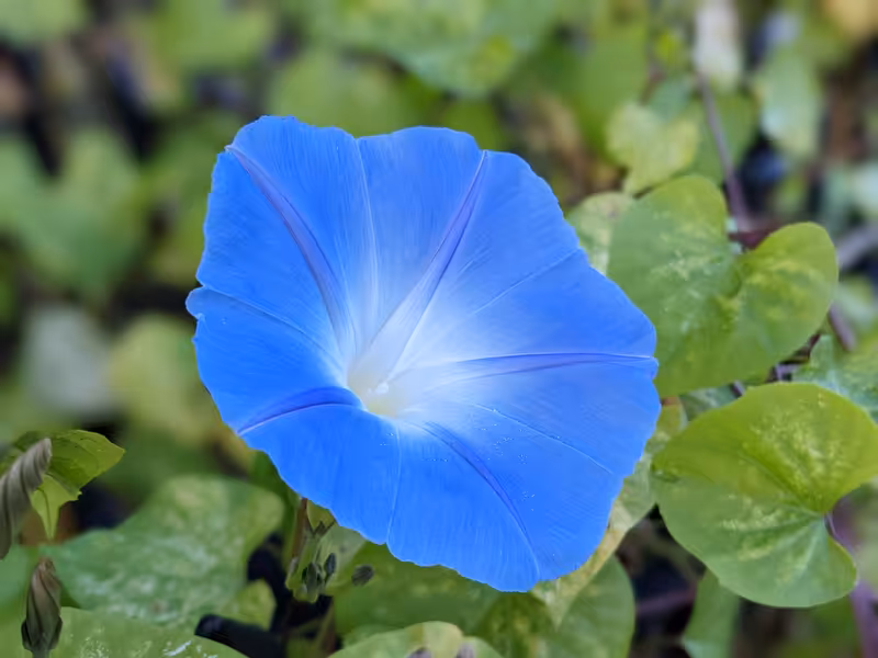 Bristol, October 2022