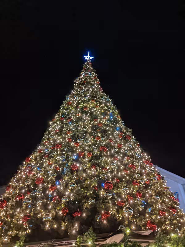 Bristol, November 2022