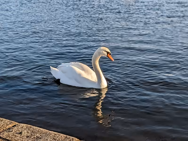 Kensington Gardens, London, December 2022