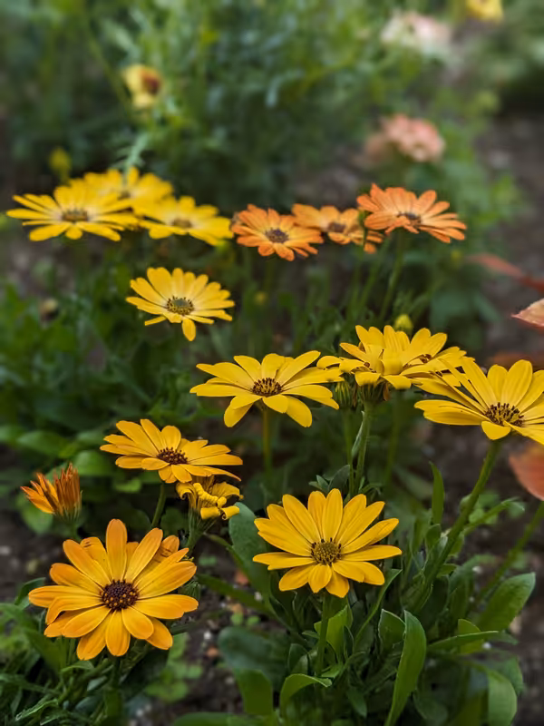 Canterbury, June 2023, Edited