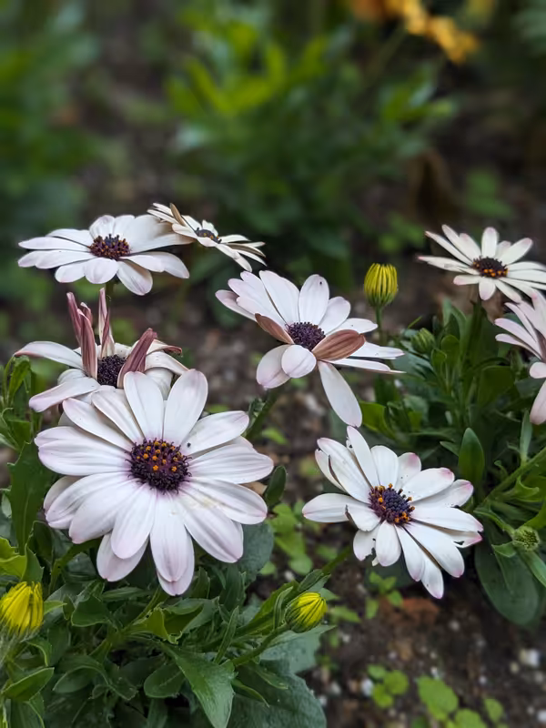 Canterbury, June 2023, Edited