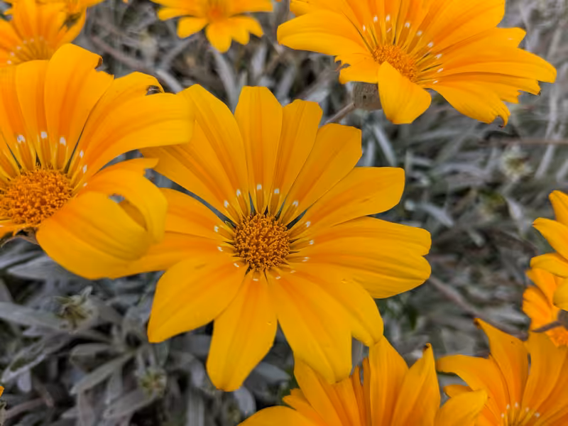 St Michael's Mount, England, June 2023