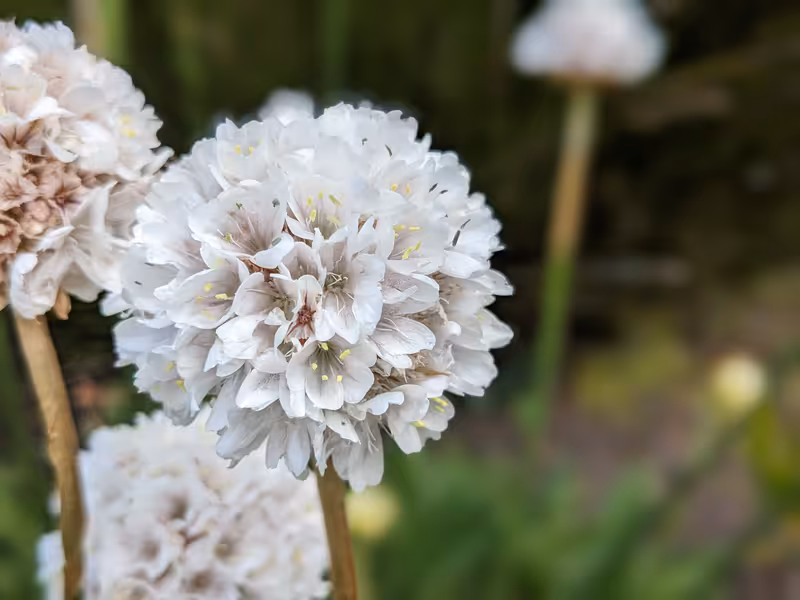 St Michael's Mount, England, June 2023