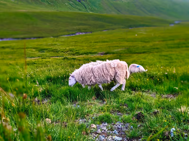 Isle of Skye, Scotland, June 2023, Edited