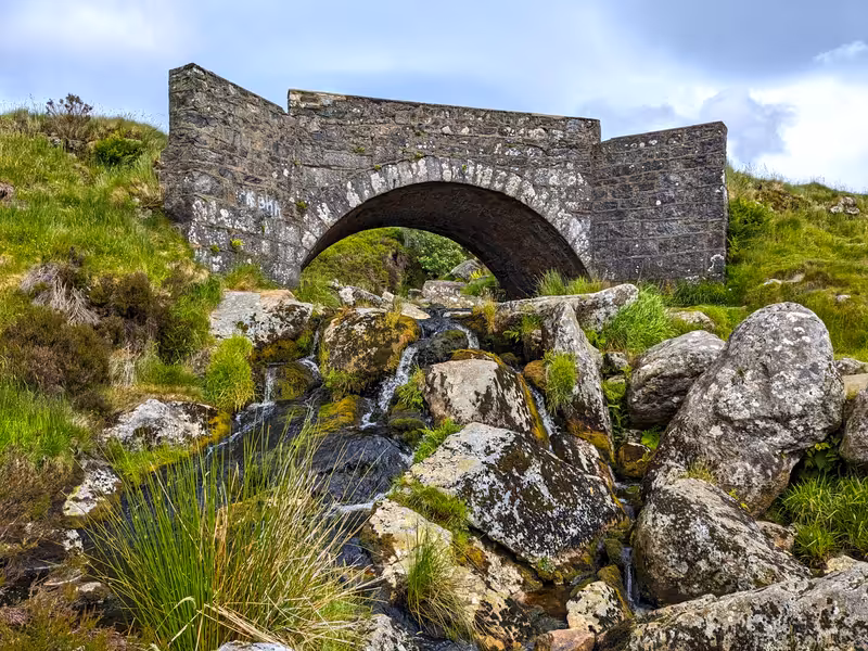 Sally Gap, Ireland, June 2024, Edited