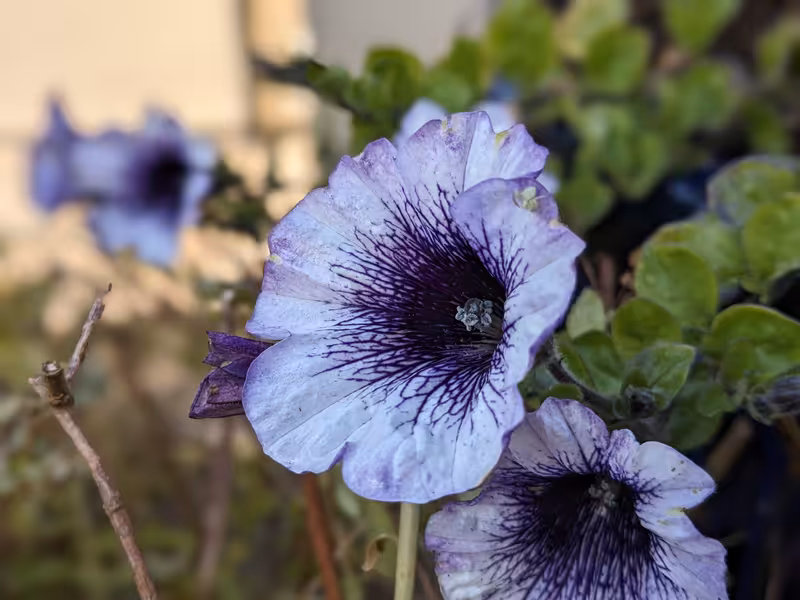 Glendalough, Ireland, June 2024