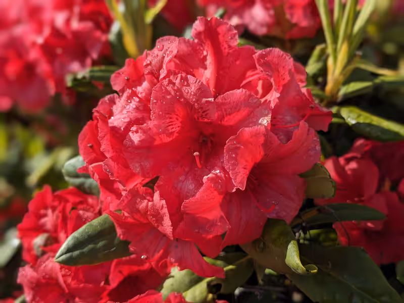 Glendalough, Ireland, June 2024