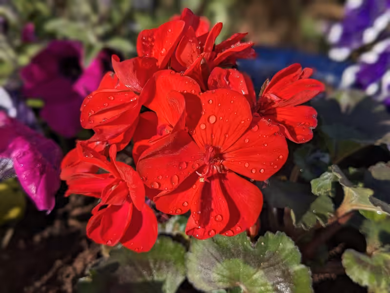 Glendalough, Ireland, June 2024