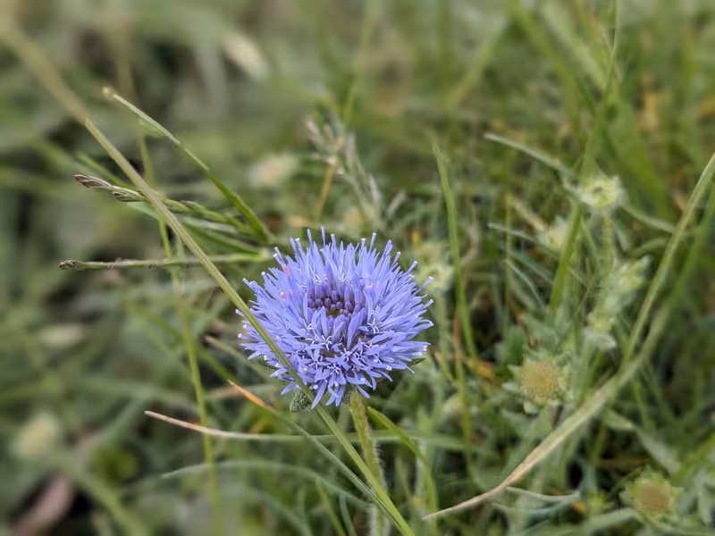 Glen Beach Cliff Walk, Ireland, June 2024
